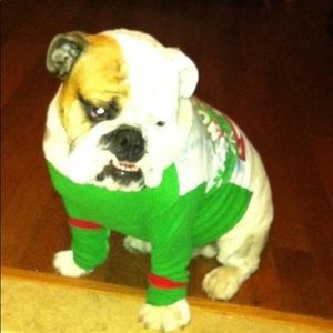 Meet your Posher, Stefanie